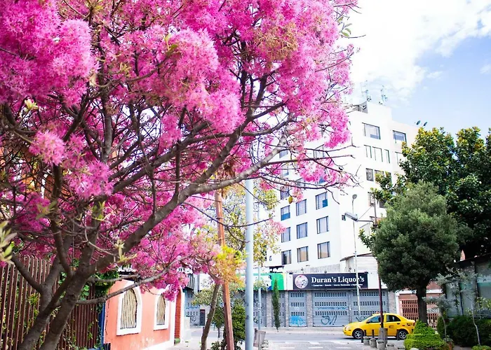 Hostal Loro Verde